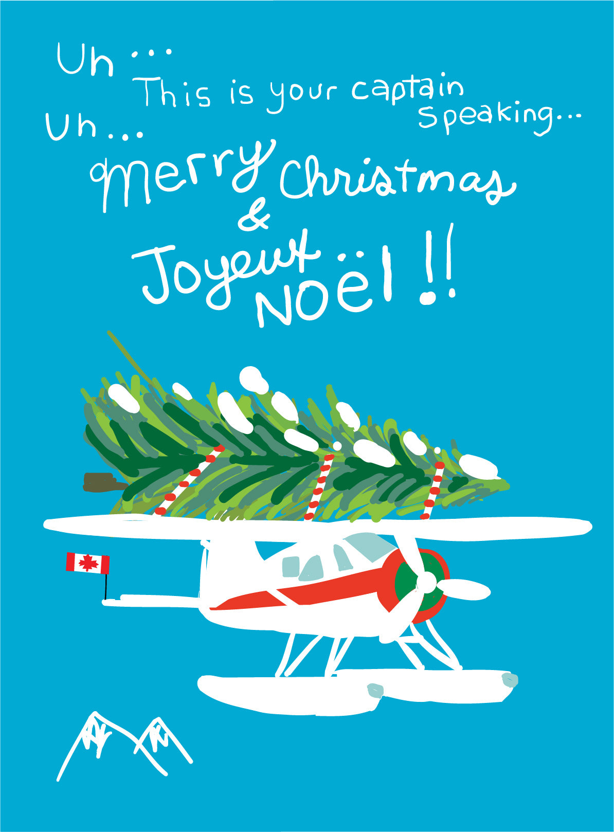 Holiday Plane Xmas