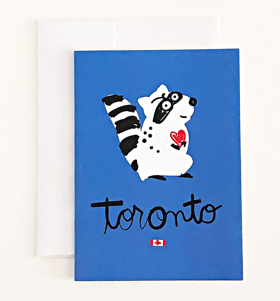 Raccoon Toronto