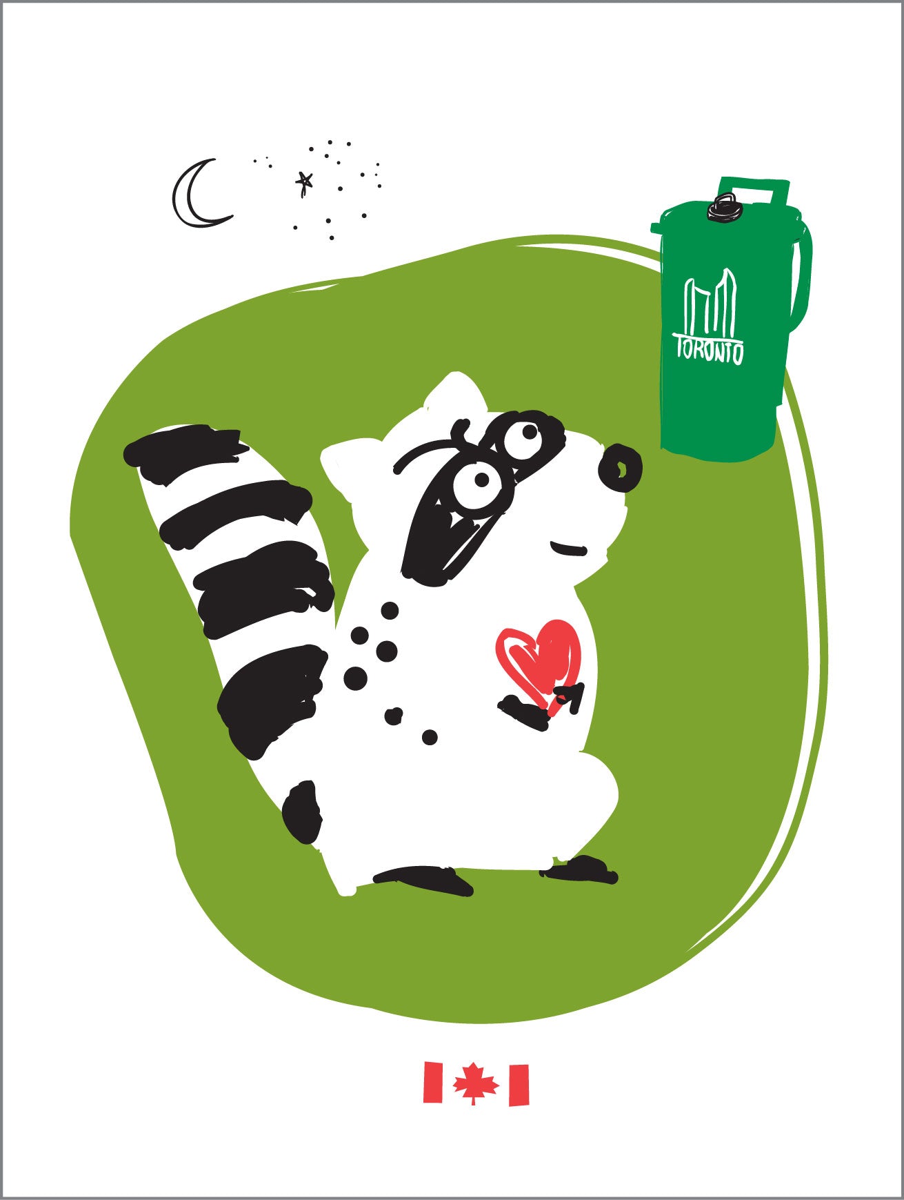 Toronto Raccoon New