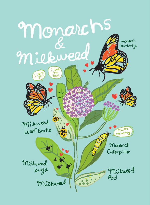 Monarchs and Milkweed